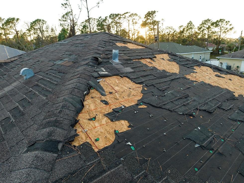 roof in progress